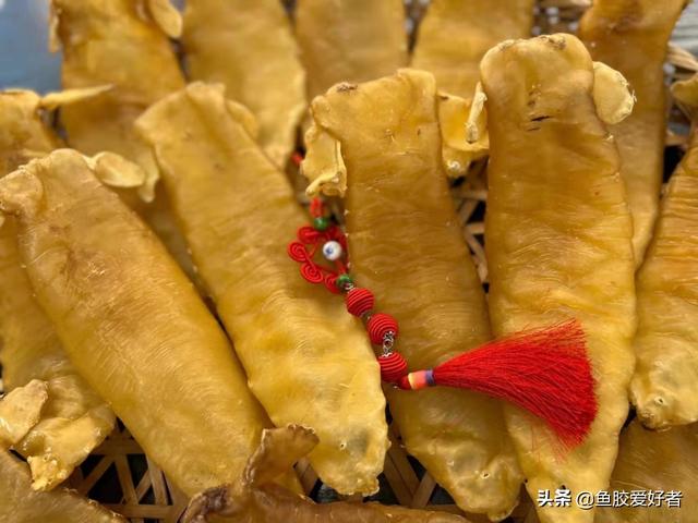 湛江公肚是什么 2026年老湛江公是什么