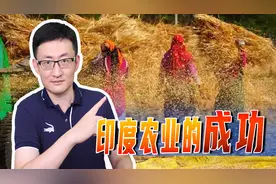 印度停止小麦出口引关注，有14亿人口的大国，为啥还有余粮出口？图片