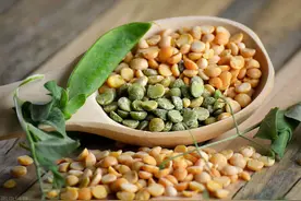 明明不姓豆，广东人为什么把父亲叫做老豆？你明白他的真正含义吗图片