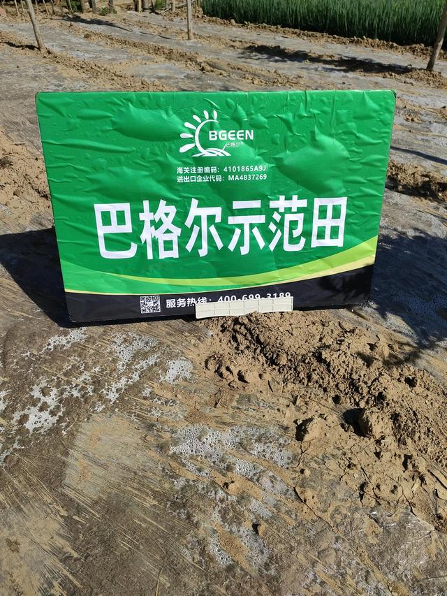 六大作用助力功能液肥品牌巴格尔双酶聚谷氨酸市场越来越火爆