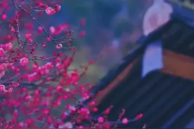 遥想当年 活在眼前图片