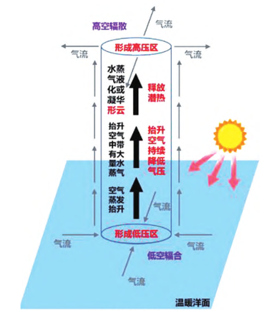 风暴已经出现，奥特曼能否平息？