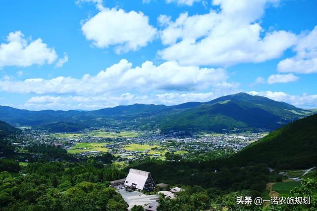 乡村振兴大赛道,8个创业方向,每一个领域都值得深耕