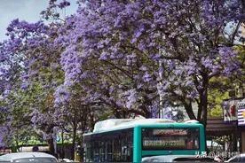 昆明再次戴上“特大城市”光环：昆明公交摘下历史光环？图片