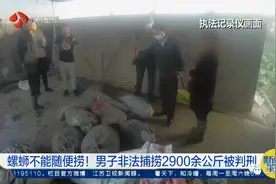 禁渔期捞螺蛳犯法吗？法院判了！图片