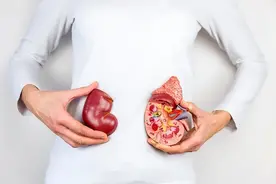 男性吃动物内脏能养肾吗？这4种食物也许更靠谱，有你爱吃的吗？图片