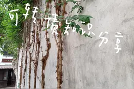 可转债下调转股价的投资机会分析——以正邦转债为例图片