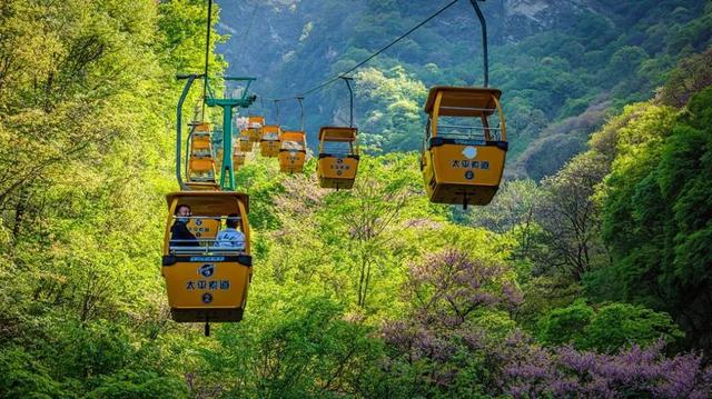 “五一”西安景区活动攻略 请查收