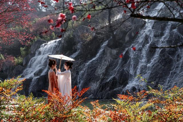 ​破局“淡季不淡”！贵州梅园全力打造冬季文旅新爆点