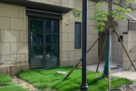 一楼带院子的房子，可以种菜、养鸡吗？图片