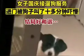 女子国庆接遛狗服务，进门被狗子叫了十多分钟吓懵，不过结局还是很和谐…图片