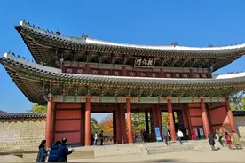 少了国内游客？五一韩国旅游市场爆冷收场图片