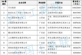 中国民营企业500强揭榜！京东、阿里巴巴等位列前十图片