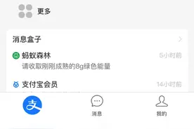 支付宝正测试可切换到国际版，界面 UI 更简洁图片