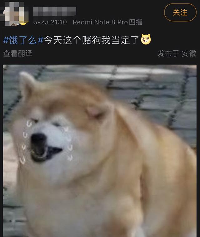 ôAppⵥݹպ
