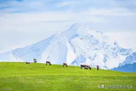 慢性前列腺炎五年，从湿热论治半月愈，中医上的病还得中医治图片