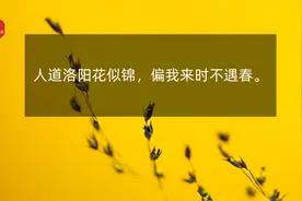 人道洛阳花似锦，偏我来时不遇春图片