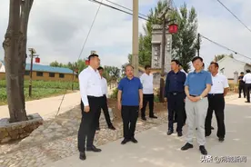 冯云龙深入朔城区调研乡村振兴工作图片