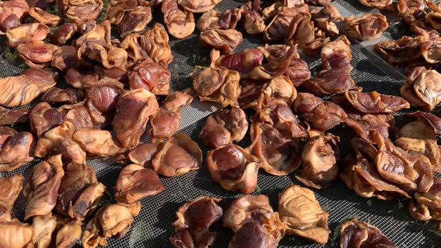 天冷，我家每年做10斤鸡胗，鲜美好吃又筋道，比腊肉腊鱼香多了