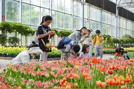 今天，带孩子去这些景区免费耍！图片