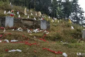 为什么说二月清明不挂前，三月清明不挂后，有什么讲究图片
