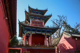 半价、免票！郑州这些景区继续优惠！还有一项补贴活动来了图片