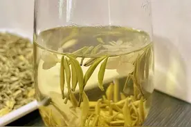 茉莉花茶：二三十和几百块的，真的有啥区别？图片