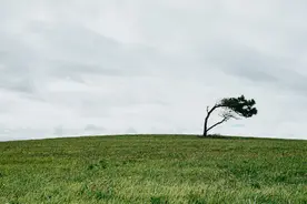 因为一件小事，老公对我动手了，该离婚吗？图片