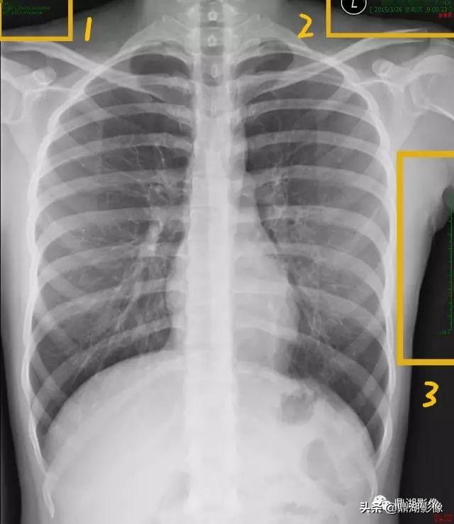 太平洋下载中心