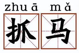 「梗知识」—“抓马”是什么梗？图片