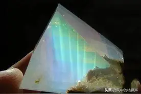 男子无意挖出“海底世界”，专家鉴定结果为蛋白石，堪称罕见图片