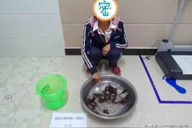 注意啦！它竟是国家二级保护动物，云南2人捉它做药，已入刑图片