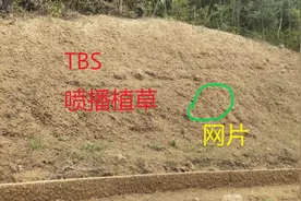 关于边坡防护工程劳务分包，清包价格，有需要的记得收藏点赞图片