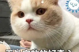 同是绝色，热巴成爽文女主，娜扎却只是一个美女…谁能想到差在这图片