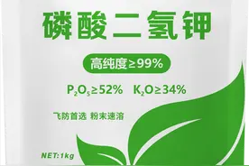 磷酸二氢钾超全使用指南！促花保果抗逆必备图片