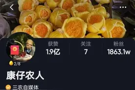 网红康仔农人的真实身份曝光，他家的金花茶园的价值令人惊讶图片