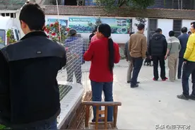 农村养羊，如何设计一个高标准的羊圈？图片