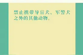 搭乘地铁哪些物品是禁止携带？快收好这份小贴士吧~图片