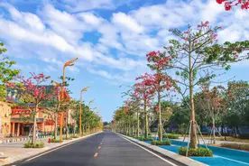 关于游客关注的北海银滩多个问题，景区一一回应了！图片