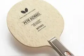 乒乓底板选择推荐，让刚入门的朋友少花冤枉钱图片