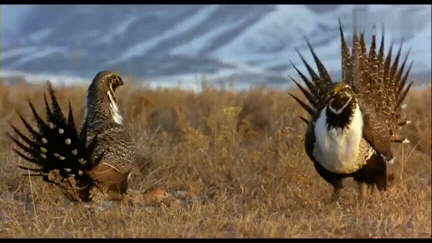 暑期强烈推荐！5部高分纪录片，知识点满满，一定要带孩子看