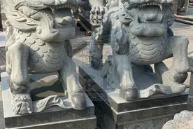 石麒麟如何区分雄性和雌性图片