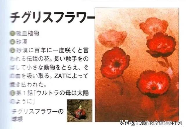 泰罗奥特曼怪兽图鉴大全