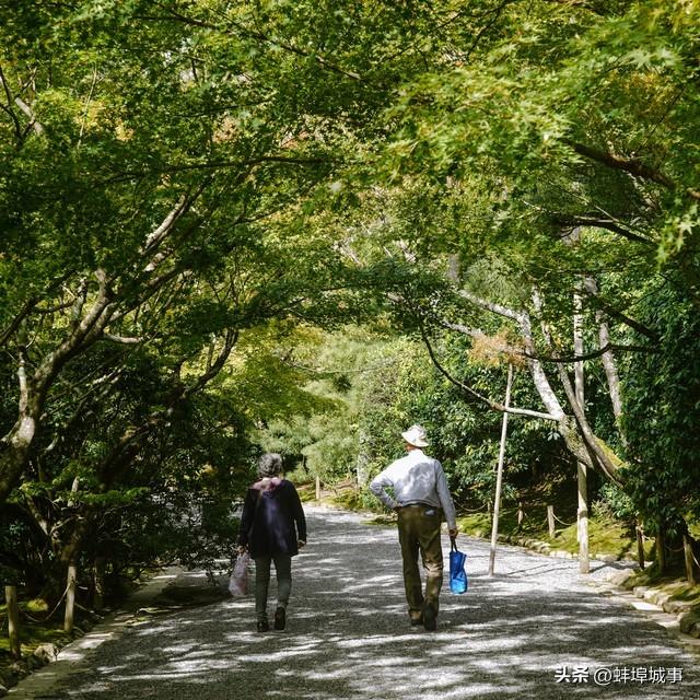 情感美文：向来缘浅，奈何情深