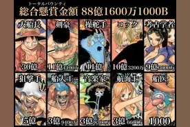 海贼王草帽一伙成员职位，悬赏，战斗，梦想，入团以及草帽大船团图片