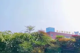 川附的高中是很多成都孩子的“梦想”，那初中咋样？图片