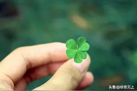 一个男人有没有福气，看看他的妻子就知道了！图片