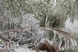 广西天气开启湿冷模式 大部最低气温降至个位数 从短袖换到羽绒服只需要一天图片