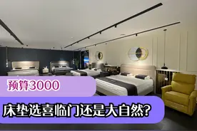预算3千，床垫选喜临门还是大自然好？3个方面对比，结果一目了然图片