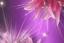 俗语“花草三不送，送了变仇人”，是什么意思？图片